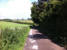 Harrow Countryside